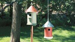 Bird House & Feeder Bird House & Feeder