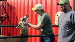 So Hard to Say Goat-bye So Hard to Say Goat-bye