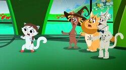 Doggone Cat Crazy Doggone Cat Crazy