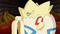 Where No Togepi Has Gone Before! Where No Togepi Has Gone Before!