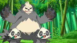 The Bamboozling Forest! The Bamboozling Forest!