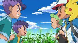 A Surface to Air Tag Battle Team! A Surface to Air Tag Battle Team!