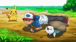Oshawott's Lost Scalchop! Oshawott's Lost Scalchop!
