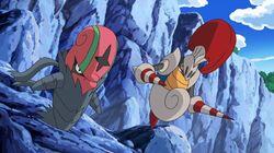 Evolution Exchange Excitement! Evolution Exchange Excitement!