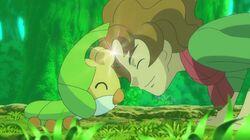 Sewaddle and Burgh in Pinwheel Forest! Sewaddle and Burgh in Pinwheel Forest!