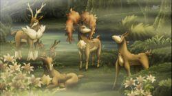 The Four Seasons of Sawsbuck! The Four Seasons of Sawsbuck!