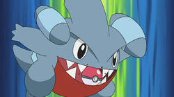 Gotta Get a Gible! Gotta Get a Gible!