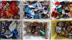Plastic Wars Plastic Wars