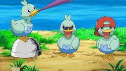 Dancing with the Ducklett Trio! Dancing with the Ducklett Trio!