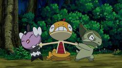 Scraggy and the Demanding Gothita! Scraggy and the Demanding Gothita!