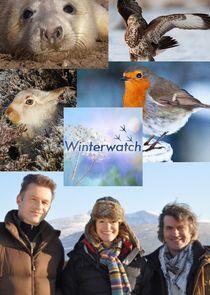 Winterwatch Winterwatch