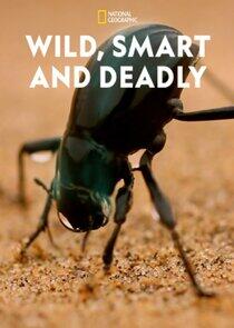 Wild, Smart and Deadly Wild, Smart and Deadly