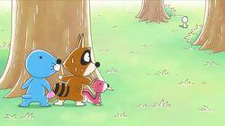 Raccoon Lost Raccoon Lost