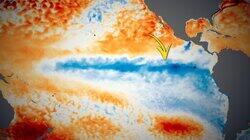 Is This Earth's Most Important Climate Mystery? Is This Earth's Most Important Climate Mystery?
