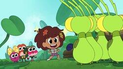 Amphibia: Mantis Bowling Amphibia: Mantis Bowling