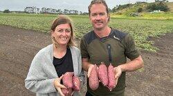 Kumara Country Kumara Country