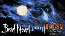Bad Moon Bad Moon