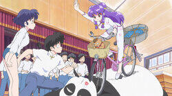 Instant Spring Instant Spring