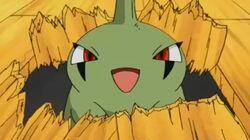 You're a Star, Larvitar! You're a Star, Larvitar!