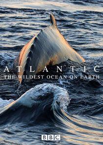 Atlantic: The Wildest Ocean on Earth - Season 1 Atlantic: The Wildest Ocean on Earth - Season 1