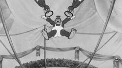 Buddy's Circus Buddy's Circus