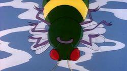 Big Bug Blunder Big Bug Blunder