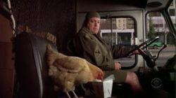 Offensive Fowl Offensive Fowl
