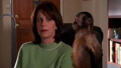 Monkey Monkey