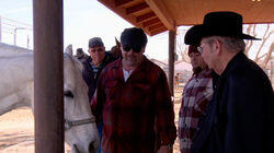 Saddle Up Saddle Up