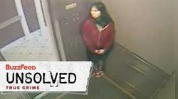 The Bizarre Death of Elisa Lam The Bizarre Death of Elisa Lam