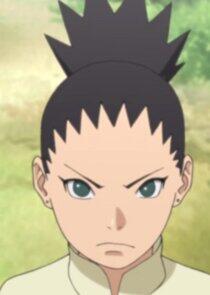 Shikadai Nara Shikadai Nara