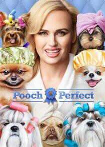 Pooch Perfect Pooch Perfect