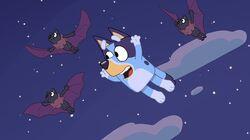 Fruitbat Fruitbat
