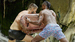 Mating Like Animals Mating Like Animals