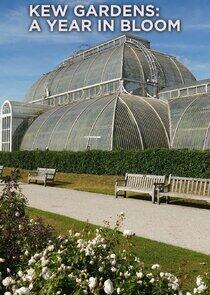 Kew Gardens: A Year in Bloom Kew Gardens: A Year in Bloom