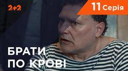 Серия 11 Серия 11
