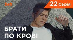 Серия 22 Серия 22