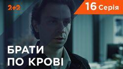Серия 16 Серия 16