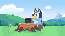 Typewriter