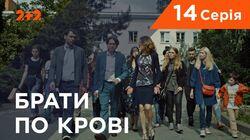 Серия 14 Серия 14