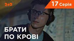 Серия 17 Серия 17