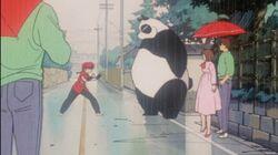 Here's Ranma Here's Ranma