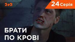 Серия 24 Серия 24