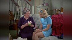 Aunt Bee's Cruise (1) Aunt Bee's Cruise (1)