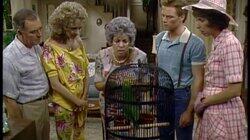 Mama Gets the Bird Mama Gets the Bird