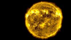 The Sun King The Sun King