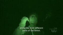 Haunted Forest / Alux Haunted Forest / Alux