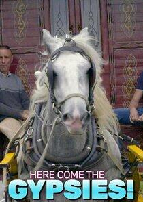 Here Come the Gypsies! Here Come the Gypsies!