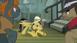 Daring Don't Daring Don't