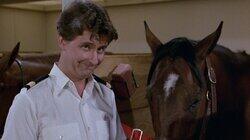 Secretary to the Stars / Julie's Decision / The Horse Lover / Gopher and Isaac Buy a Horse / Village People Ride Again Secretary to the Stars / Julie's Decision / The Horse Lover / Gopher and Isaac Buy a Horse / Village People Ride Again